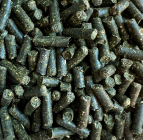 Brennnessel Sticks, 50g